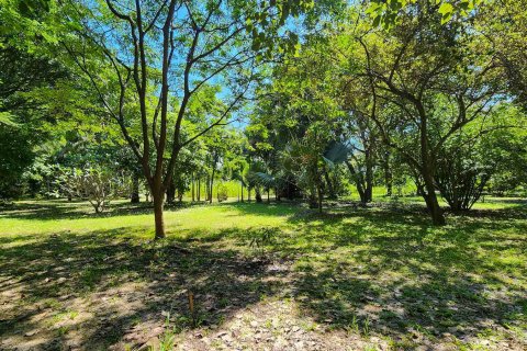 Terreno en Chiang Mai, Tailandia № 122794 - foto 15