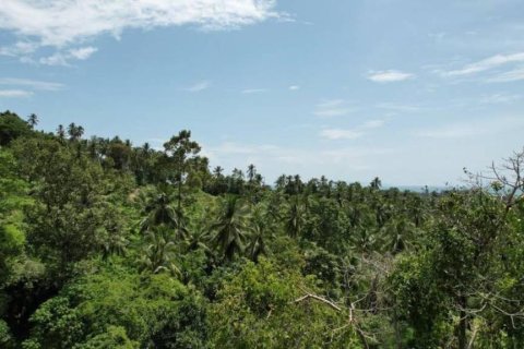 Terreno en Surat Thani, Tailandia № 156794 - foto 5