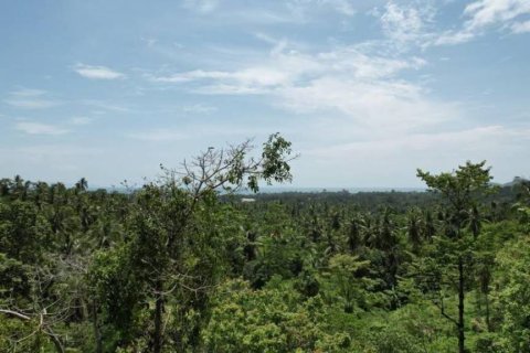 Terreno en Surat Thani, Tailandia № 156794 - foto 3