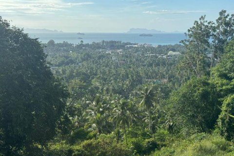 Terreno en Surat Thani, Tailandia № 156794 - foto 4