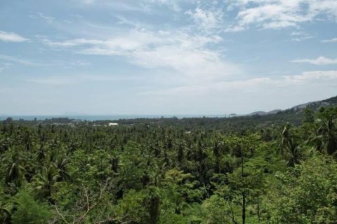 Terreno en Surat Thani, Tailandia № 156794 - foto 6