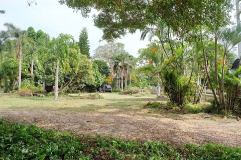 Terreno en Chonburi, Tailandia № 53763 - foto 3