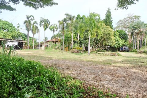 Terreno en Chonburi, Tailandia № 53763 - foto 6
