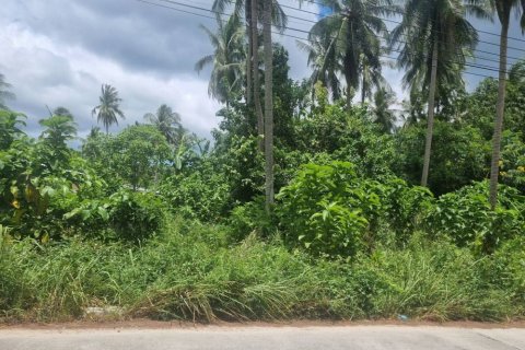 Terreno en Surat Thani, Tailandia № 115699 - foto 3