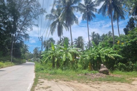 Terreno en Surat Thani, Tailandia № 115699