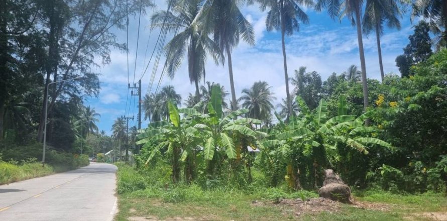 Terreno en Surat Thani, Tailandia № 115699