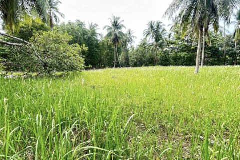 Terreno en Surat Thani, Tailandia № 115700 - foto 4