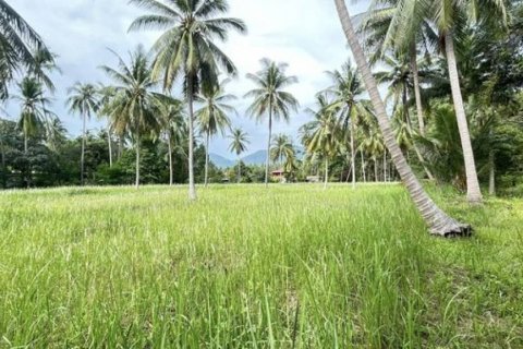 Terreno en Surat Thani, Tailandia № 115700 - foto 3