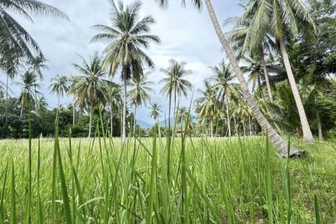 Terreno en Surat Thani, Tailandia № 115700 - foto 5