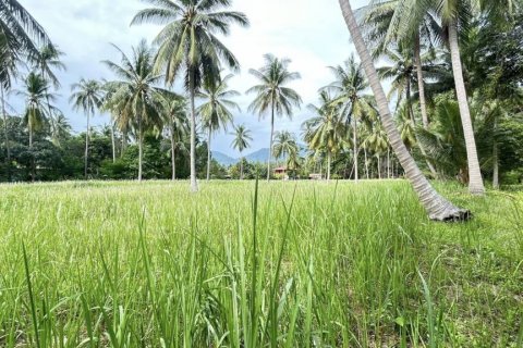 Terreno en Surat Thani, Tailandia № 115700