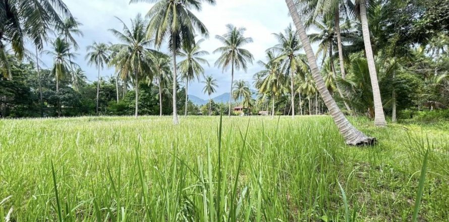 Terreno en Surat Thani, Tailandia № 115700