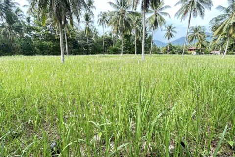 Terreno en Surat Thani, Tailandia № 115700 - foto 7