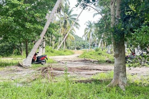 Terreno en Surat Thani, Tailandia № 115700 - foto 6