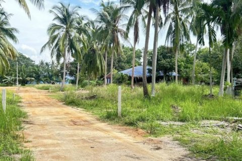 Terreno en Surat Thani, Tailandia № 115700 - foto 9