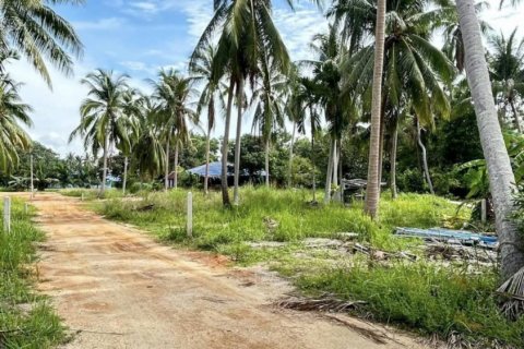 Terreno en Surat Thani, Tailandia № 115700 - foto 10