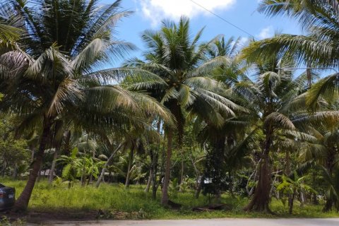 Terreno en Surat Thani, Tailandia № 115701 - foto 3