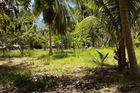 Terreno en Surat Thani, Tailandia № 115701 - foto 8