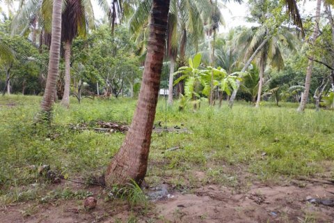 Terreno en Surat Thani, Tailandia № 115701 - foto 4