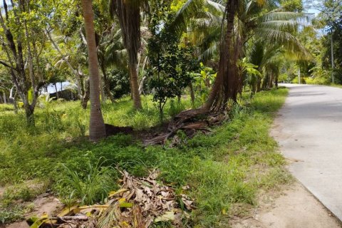 Terreno en Surat Thani, Tailandia № 115701 - foto 7