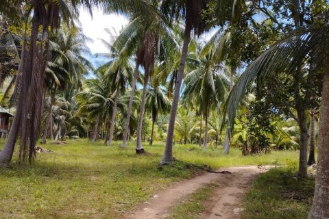 Land in Surat Thani, Thailand № 115701