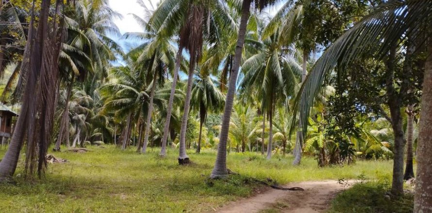 Terreno en Surat Thani, Tailandia № 115701