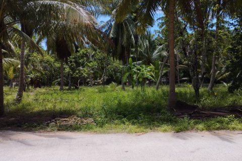 Terreno en Surat Thani, Tailandia № 115701 - foto 9