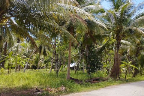 Terreno en Surat Thani, Tailandia № 115701 - foto 6