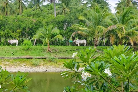 Chalet de 2 dormitorios en Hua Hin, Tailandia № 137279 - foto 21