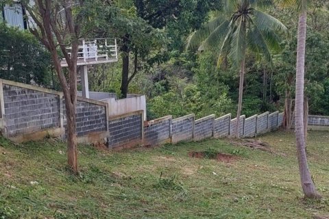 Land in Surat Thani, Thailand № 116424 - photo 4
