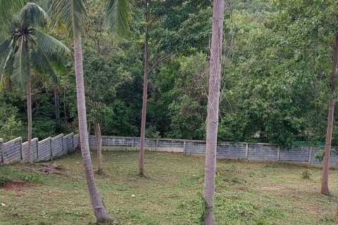 Land in Surat Thani, Thailand № 116424 - photo 3