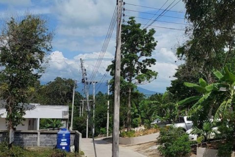 Land in Surat Thani, Thailand № 116424 - photo 2