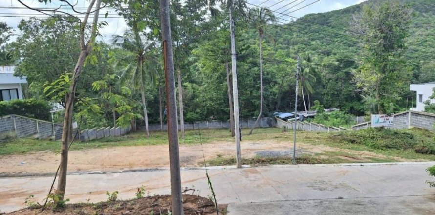 Land in Surat Thani, Thailand № 116424