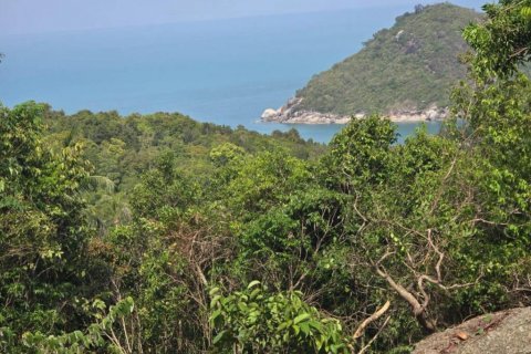 Terreno en Surat Thani, Tailandia № 114127 - foto 3
