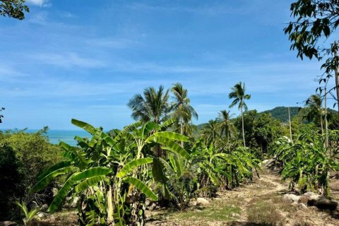 Terreno en Surat Thani, Tailandia № 114127 - foto 4