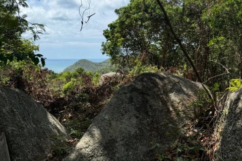 Terreno en Surat Thani, Tailandia № 114127 - foto 8