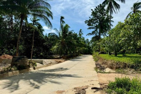 Terreno en Surat Thani, Tailandia № 114127 - foto 7