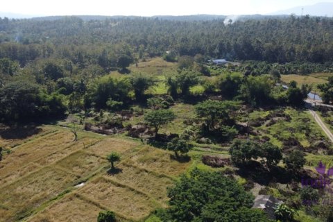 Land in Mae Taeng, Thailand № 200300 - photo 13