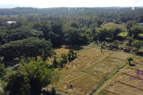 Land in Mae Taeng, Thailand № 200300 - photo 2