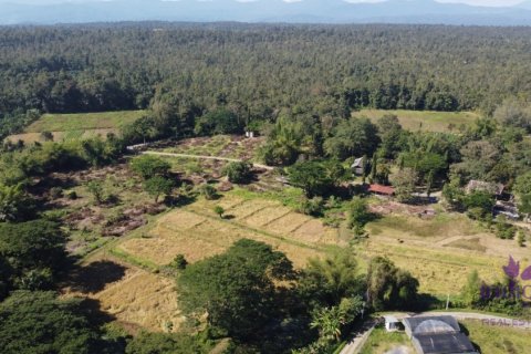 Land in Mae Taeng, Thailand № 200300 - photo 6