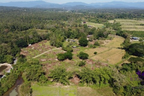 Land in Mae Taeng, Thailand № 200300 - photo 9