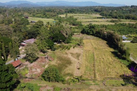 Land in Mae Taeng, Thailand № 200300 - photo 4