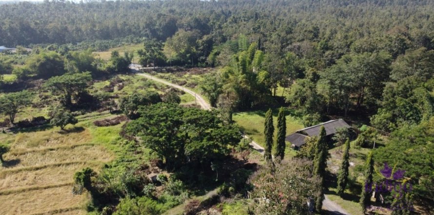 Land in Mae Taeng, Thailand № 200300