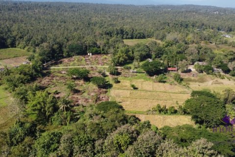 Land in Mae Taeng, Thailand № 200300 - photo 8