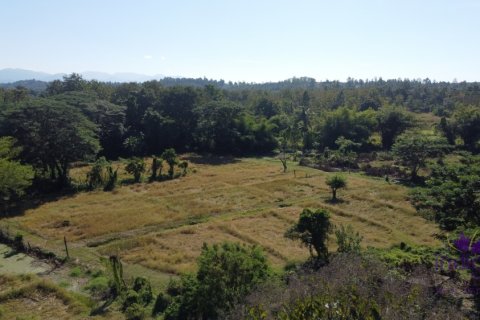 Land in Mae Taeng, Thailand № 200300 - photo 14