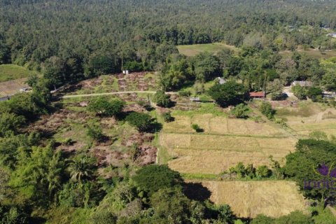 Land in Mae Taeng, Thailand № 200300 - photo 7