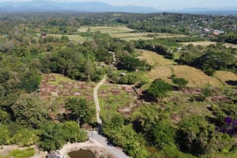 Land in Mae Taeng, Thailand № 200300 - photo 11