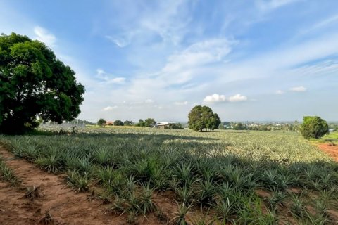 Terreno en Pran Buri, Tailandia № 116407 - foto 5
