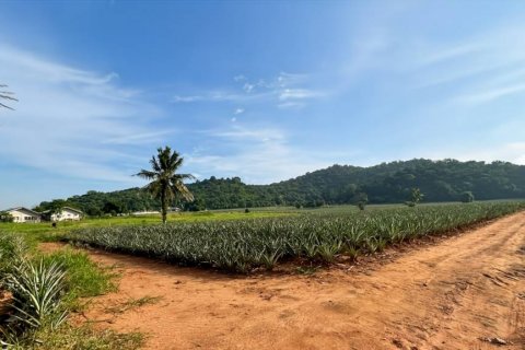 Terreno en Pran Buri, Tailandia № 116407 - foto 6