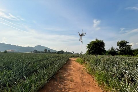 Terreno en Pran Buri, Tailandia № 116407 - foto 7