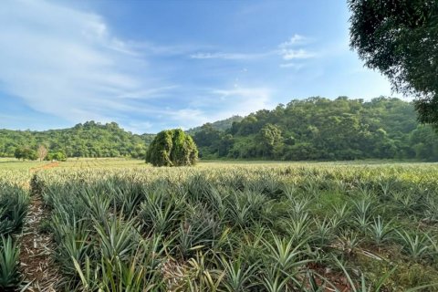 Terreno en Pran Buri, Tailandia № 116407 - foto 4